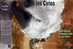 183034_Valle_de_los_Cirios