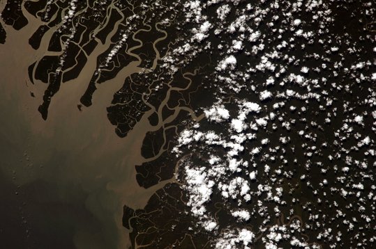 Kikori River Delta