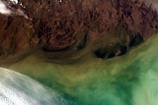 Volga River Delta, Russia