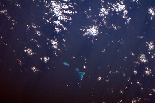 Reefs In Coral Sea