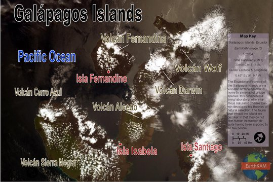 102284_Galapagos