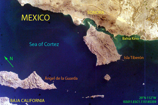 Sea of Cortez, Mexico