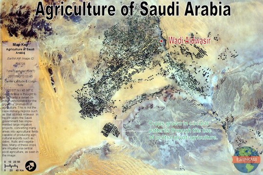 134728_Agriculture_of_Saudi_Arabia